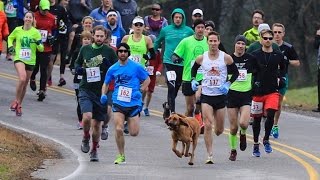 Dog Accidently Joins Half Marathon Finishes Race In 7th Place [upl. by Eillat]