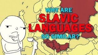 Slavic Languages  Why are they so similar to eachother [upl. by Lenora297]