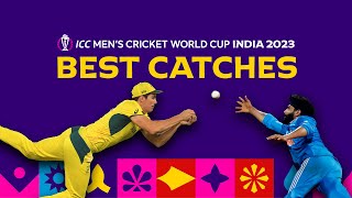 All the best catches from Cricket World Cup 2023 😱 [upl. by Fenner]