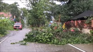 How to prepare for a storm Typhoon Odette Dumaguete City Philippines [upl. by Baldwin377]