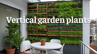 Easy Vertical Garden Plants Top 5 for Beginners [upl. by Ier]