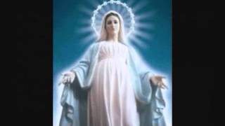 The 3 Hail Marys Morning Prayer [upl. by Danita]