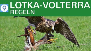 LotkaVolterraRegeln  RäuberBeuteBeziehung  Regulation von Populationen einfach erklärt 1 [upl. by Necaj498]