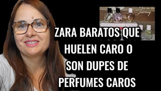 Haul perfumes ZARA BARATOS que se PARECEN a los CAROS [upl. by Agiaf]