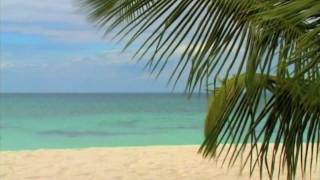 Am Meer  Best of Music for Relaxation by Dr Arnd Stein [upl. by Menashem682]