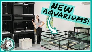 NEW AQUARIUMS ARE HERE  VLOGMAS DAY 5 [upl. by O'Grady299]