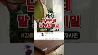 술에 취한 시아버지가 며느리에게만 말해준 비밀 [upl. by Karlee]