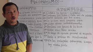 ¿QUÉ ES EL PLEONASMO EJEMPLOS DEL PLEONASMO  DEFUNCIÓN DE PLEONASMO  Wilson te enseña [upl. by Shenan709]