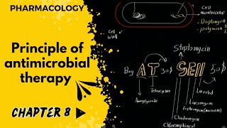 فارما  جابتر 8  شرح مهم متطور لفهم المضادات الحيوية  principle of antimicrobial therapy [upl. by Leshia]