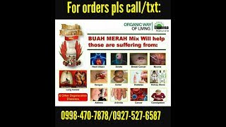 BUAH MERAH MIXANTI CANCEREssensa Naturale Business Opportunity Philippines [upl. by Yaned428]