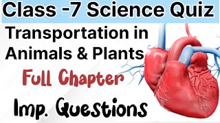 Transportation in animals and plants class 7 Full Chapter Important questions Practice Quiz [upl. by Persas]