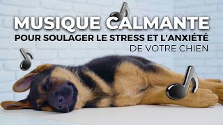 Musique Calmante pour Soulager le Stress et lAnxiété de votre Chien [upl. by Madelle420]