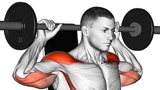 The Best Shoulder Exercises BarbellDumbbell Only [upl. by Thirzi]