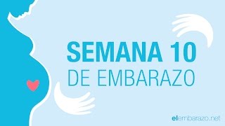 Semana 10 de embarazo  10 semanas de embarazo  El embarazo semana a semana [upl. by Cirtap]