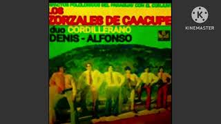 Los Zorzales de Caacupe 1975 [upl. by Graig]