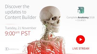 Discover the Updates to Content Builder  Live Webinar [upl. by Suu]