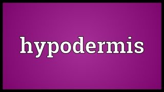 Hypodermis Meaning [upl. by Marika417]