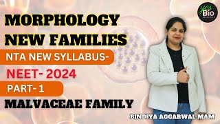 Morphology of flowering plants  new families  MALVACEAE  neet 24  class11 biology  part 1 [upl. by Hanahs]