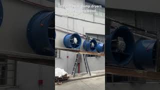 Drytech Heat Pump Dryers exported to Zambia use to drying wood dryingmachine fooddryer wooddryer [upl. by Retsehc494]