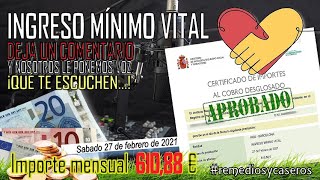 🔎📂Aquí ¿Cómo saber si me han aprobado el Ingreso Mínimo Vital 👶 Prestación por hijo a cargo [upl. by Nikolaos]