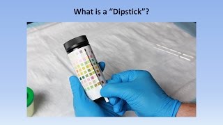 Interpretation of the Urinalysis Part 2  The Dipstick [upl. by Attenev282]