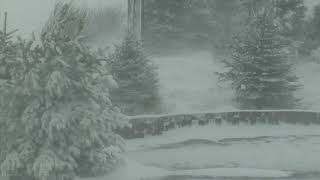 Epic Snowstorm  Howling Blizzard Sounds  Heavy Wind amp Snow  Perfect Sounds For Sleep [upl. by Esinal]