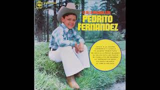 Pedrito Fernández  Corriente Y Canelo Instrumental Original Con Coros [upl. by Enirhtac]