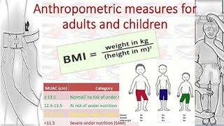 Anthropometric measurements for adults and children nutrition [upl. by Attennek859]