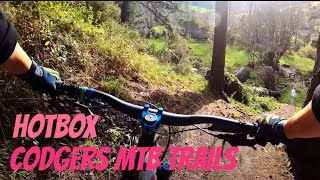 4K  Hotbox Codgers Trails Nelson New Zealand June 2022 [upl. by Miksen]