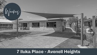 7 Iluka Place  Avenell Heights [upl. by Neelasor]