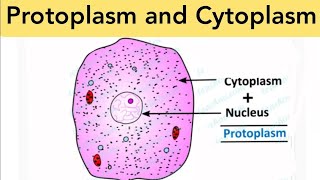 PROTOPLASM AND CYTOPLASM  SCIENCE DIAGRAM [upl. by Ahar]