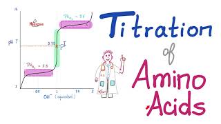 Titration of Amino Acids  pH pKa1 and pKa2  Isoelectric Point Amino Acids Part 4 [upl. by Gies]