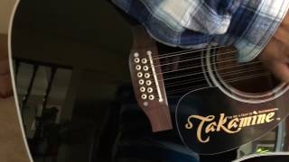 Takamine EF381SC [upl. by Gervase796]