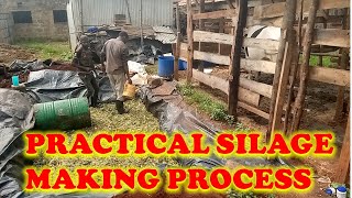 PRACTICAL SILAGE MAKING [upl. by Gainor]