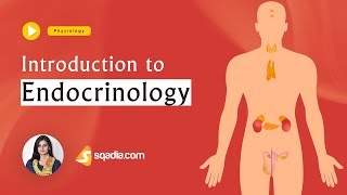 Introduction to Endocrinology  Physiology Lectures Education  VLearning  sqadiacom [upl. by Gnolb87]