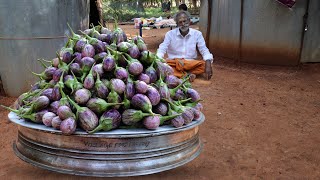 VEG BRINJAL Recipe Prepared by my Daddy Arumugam  Village Food Factory [upl. by Naxela174]