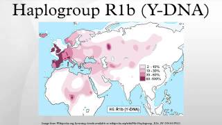 Haplogroup R1b YDNA [upl. by Kacie]