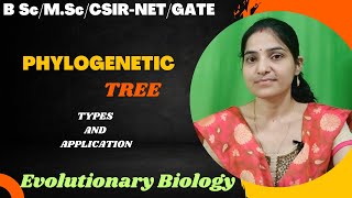 Phylogenetic Tree BSc 3rd yearTypesRooted And Unrootedevolution phylogeny [upl. by Hanselka]