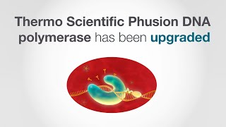 Phusion Plus DNA Polymerase [upl. by Iredale865]