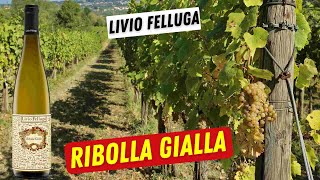 Scegliere il Vino  Ribolla Gialla Colli Orientali DOC  Livio Felluga [upl. by Maggi]