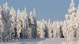 Ljungåsen Grängesberg [upl. by Jareen439]