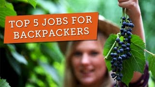 Top 5 Jobs for Backpackers on a Working Holiday in Australia [upl. by Platto]