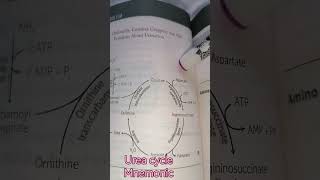 Urea cycle Mnemonic biochemistry medical [upl. by Colis656]