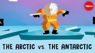 The Arctic vs the Antarctic  Camille Seaman [upl. by Musetta]