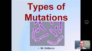 Types of Mutations [upl. by Wappes]