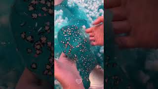 BIG BATCH ASMR 🐧❄️ Penguin Ice Paradise from BlushingBB 💙 [upl. by Airegin]