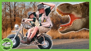 Is that the Mommy TRex Vehicles Dinosaurs  MORE  TRex Ranch Dinosaur Videos for Kids [upl. by Maxama]