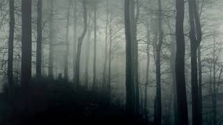 Dark Ambience  Horror Background Music 10 Hours [upl. by Haywood]