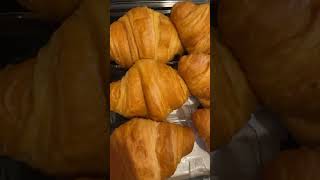 Croissant Sandwiches For Labour Day Lunch shorts food foodie sandwich lunch labourday2024 [upl. by Norah109]