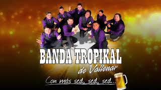 Me Emborrachare  Banda Tropikal De Vallenar Audio Oficial [upl. by Abagael]